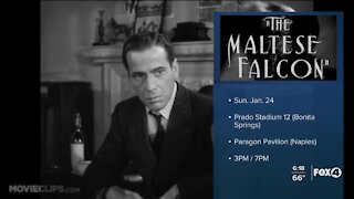 Maltese Falcon turns 80