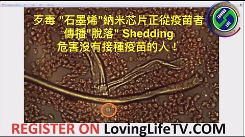 歹毒 "石墨烯"納米芯片正從疫苗者傳播"脫落" Shedding 給沒有接種疫苗的人！Dr.-Philippe-Covid Vaccine Graphene Shedding！(English)