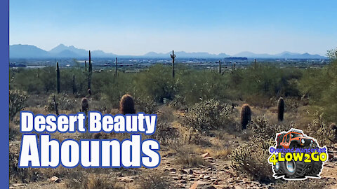 McDowell Gateway Nature Hike | Hiking in the desert