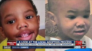 A Look at the Local Adoption Process