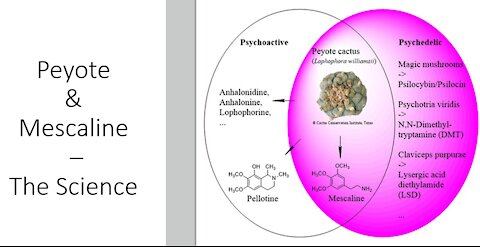 Peyote - Mescaline - Scientific Evidence