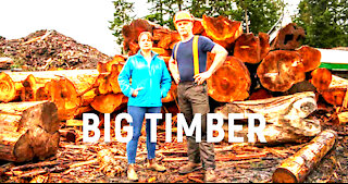 BIG TIMBER Official Trailer Netflix (2021)