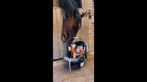 A HORSE AND HIS FRIEND😍 ♥ ️: