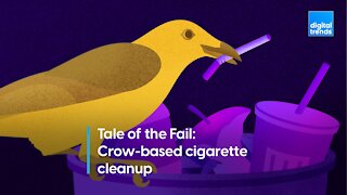 Tale of the Fail: Why crow-based cigarette cleanup never took off