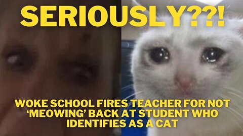 Woke School Fires Teacher for Not ‘Meowing’ Back at Student Who Identifies as a Cat??!