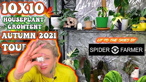 Houseplant LED Grow Light & Tent TOUR - FALL 2021✨