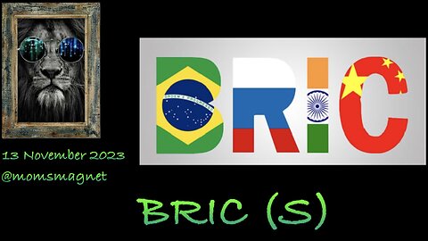 BRIC (S)