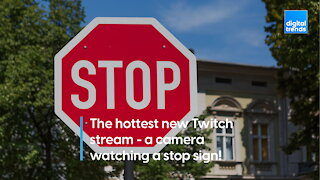 The hottest new Twitch stream - a stop sign cam where no one stops