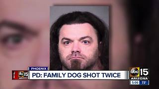 Phoenix man arrested after shooting family dog