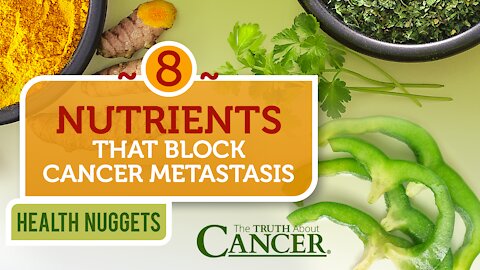The Truth About Cancer Presents: Health Nuggets - 8 Nutrients That Block Cancer Metastasis