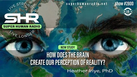 How Does The Brain Create Our Perception Of Reality?