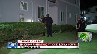 Men break into woman's home, rob her