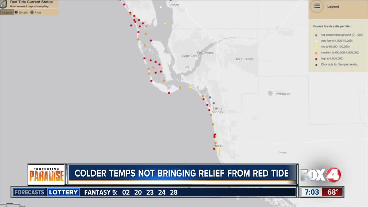 Colder temps not bringing relief from red tide