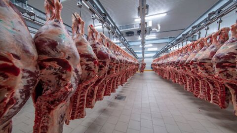 Modern Meat Processing meat factory