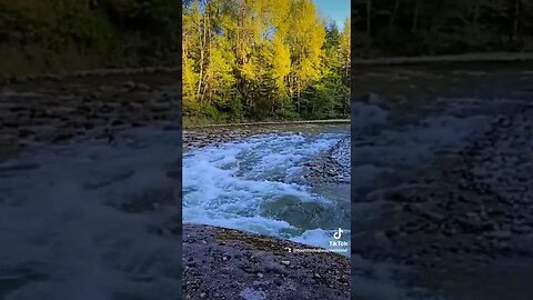 Relaxing white noise of Englishman River at Top Bridge #relax #nature #river