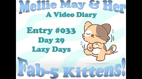 Video Diary Entry 033: Hard Day Playing. We All Have Lazy Days - Day 29