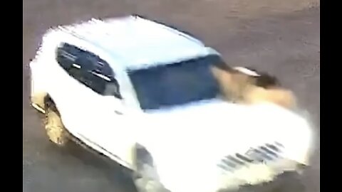 Mom Jumps On Hood Of Car As Carjacker Speeds Away With Her Children