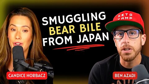 Smuggling Bile Bear from Japan
