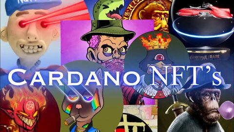Cardano Trending NFT's And How To Find Them