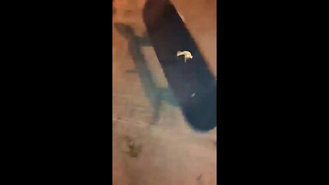 Jumping frog pulls off epic skateboard flip