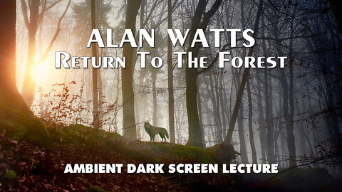 Return To The Forest - Alan Watts - Dark Screen Ambient Lecture - Joseph Campbell, Carl Jung