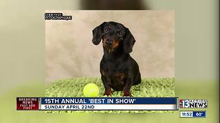 The Animal Foundation's 15th Annual 'Best in Show'