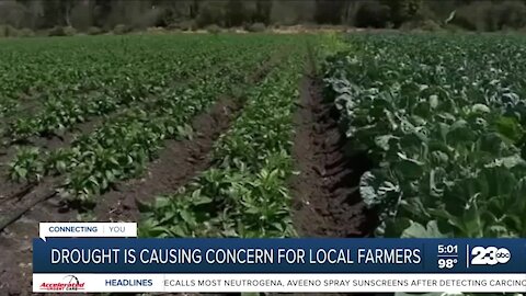 Drought is causing concern for local farmers