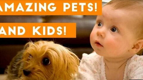 Most Amazing 30 minutes of Cute Kids And Pets 2018 | Funny Pet Videos!