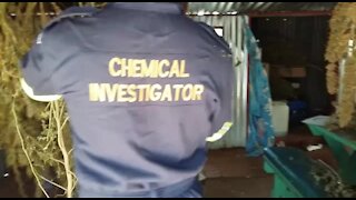 SOUTH AFRICA - Pretoria - Massive Drug Bust in Hammanskraal (Video) (UUU)
