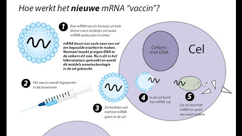 Hoe werkt een mRNA vaccin?
