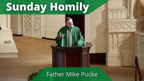 Homily for the Eighth Sunday in Ordinary Time - Father Mike Pucke