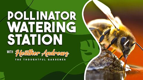 Pollinator Watering Station with Heather Andrews