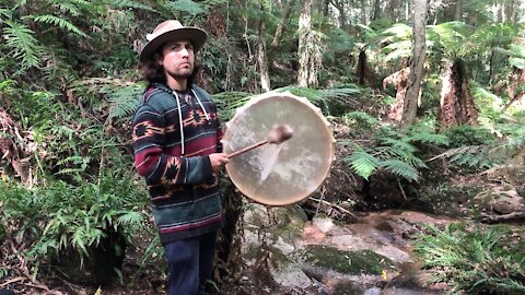 Rainforest Drum - Drumming In Nature - Shamanic Drum - Bird Sounds