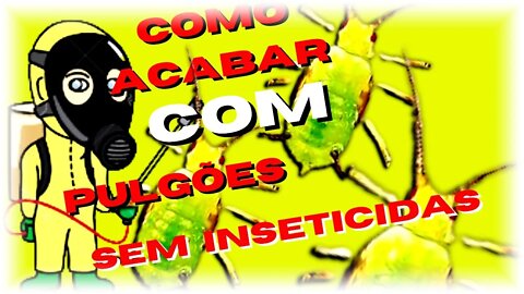 Como Acabar Com Pulgões Naturalmente: Como se -livrar de pulgões🐛💲🦗😱 com segurança