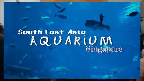 Around the World SEA Aquarium SG