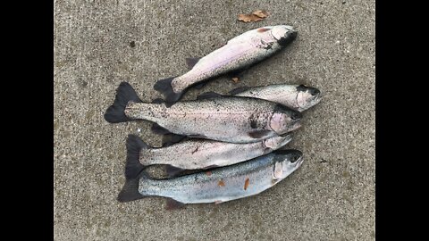 Twelve pound channel catfish in Auburn, NE with Bearded Hookers fishing