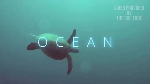 How to make peace with Ocean Documentary