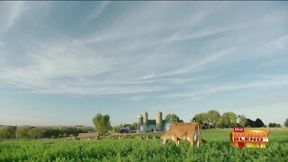 Keeping Wisconsin Dairy a Proud Label at the Store