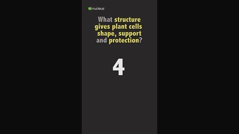 Biology Quiz: What structure gives plant cells shape, support and protection?