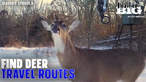 Locate Deer Travel Patterns in an Easy, Unique Way