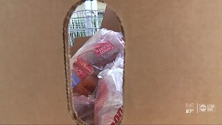 Seniors overjoyed by monthly groceries from Feeding Tampa Bay volunteers