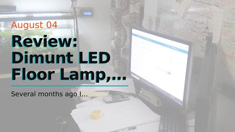 Review: Dimunt LED Floor Lamp, Bright 15W Floor Lamps for Living Room with 1H Timer, Stepless A...