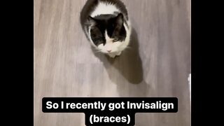 Toothless cat gives smart dental advice!