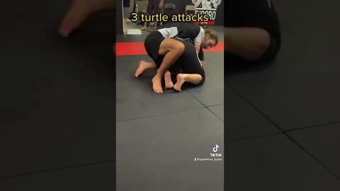 3 turtle attacks 🐢 #bjj #martialarts #mma