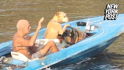 Dog driving a boat is this Florida man's designated driver
