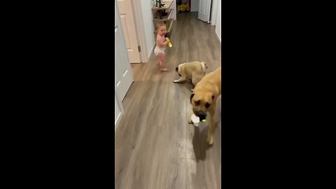 Sweet Baby's Playtime Adventure with Furry Friend and Flashlight
