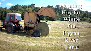 Making Hay for Winter