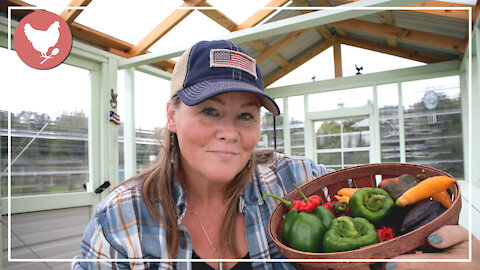 SPICY CHAT! (Just Kidding ...it's PEPPERS) | A Good Life Farm