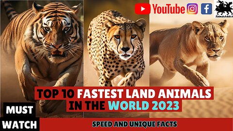 Top 10 Fastest Land Animals In the World 2023 | Fastest Animals In The World Top 10 | Animals Addict