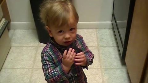 Toddler Boy Steals Brownies From The Kitchen | Funny Kid Fails